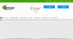 Desktop Screenshot of geaugasavings.com